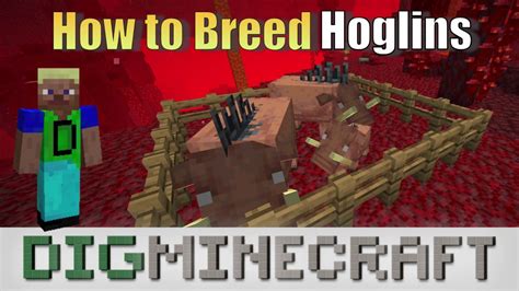 How To Breed Hoglins In Minecraft Nether Update Youtube