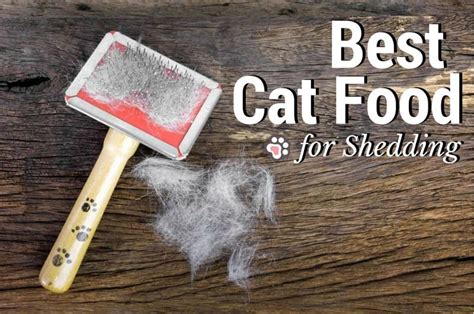Calcium, choline, copper, iodine, iron, magnesium, manganese, phosphorous, potassium, sodium, selenium and zinc. Best Cat Food For Shedding: What to Look For & Options To ...