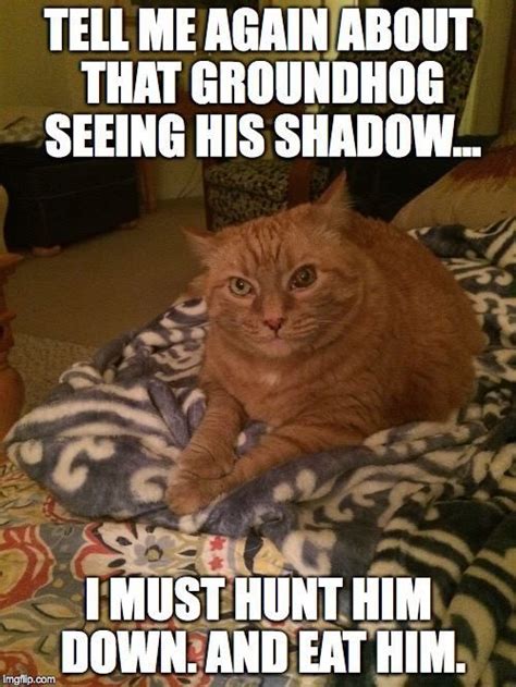 Live from new york, describe saturday night live here! Pin on Hippie Chick Memes