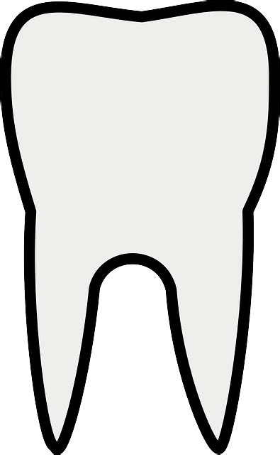 Dentistry Tooth Dentist · Free Vector Graphic On Pixabay