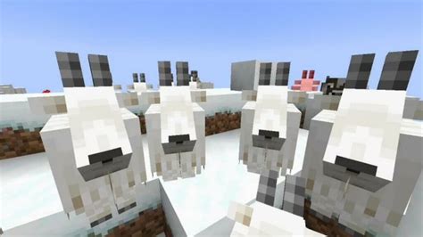 Minecraft Goat New Mob In Caves And Cliffs All Features Firstsportz