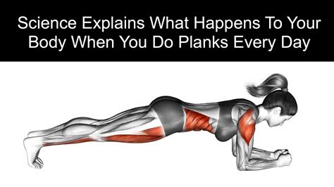 What Happens To Your Body When You Do Planks Every Day