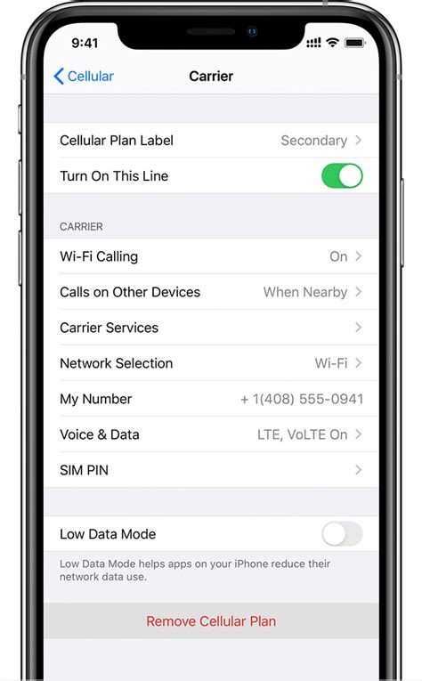 Using Dual Sim With An Esim Apple Support