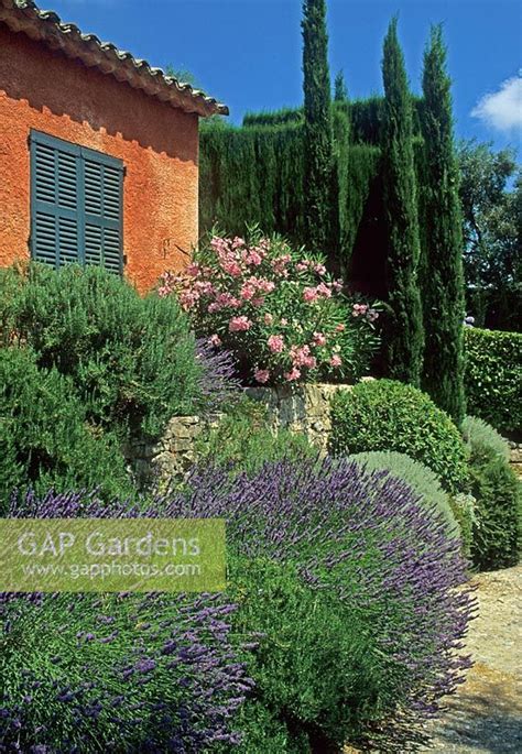 Mediterranean Garden Stock Photo By Jerry Harpur Image 0072698