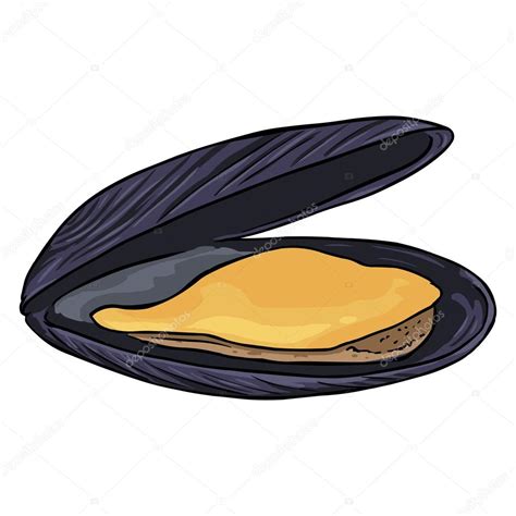 Mussel coloring Download Mussel coloring for free 2019