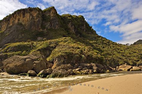 Scenic Beach Landscape West Coast New Zealand Photo Information