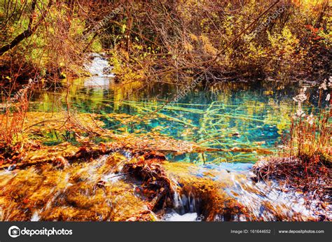Pond With Azure Water On One Of Waterfall Levels Among Woods Stock