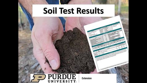 Soil Test Interpretation Youtube