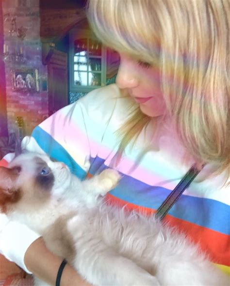 8 Richest Pets In The World From Taylor Swifts Cat Olivia Benson To