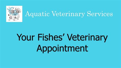 Aquatic Veterinary Services Fish Appointment Video Youtube