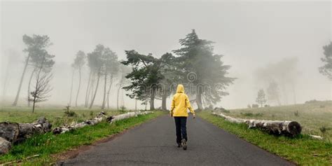 Walking On A Foggy Road Stock Image Image Of Happy 159145845