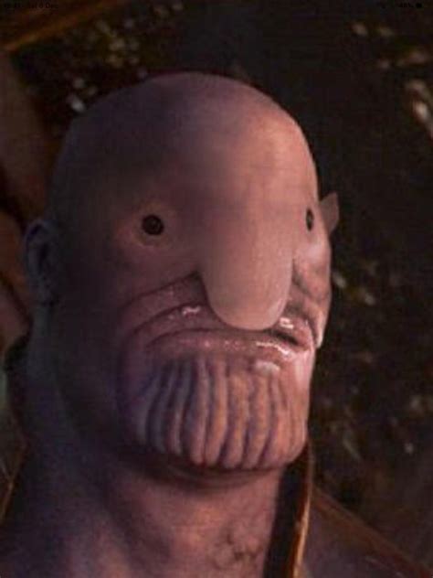 In 2003, this little guy was picked up at around 3,300 feet by the norfanz expedition in new. Blobfish thanos : thanosdidnothingwrong