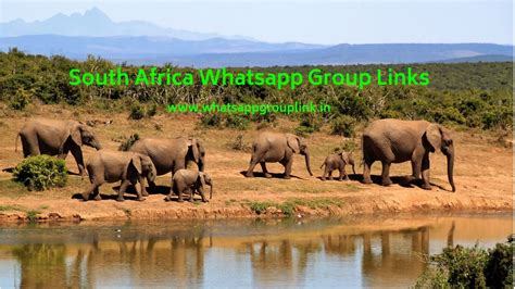 These links serve as an address to the group. South Africa Whatsapp Group Links - WhatsappGroupLink