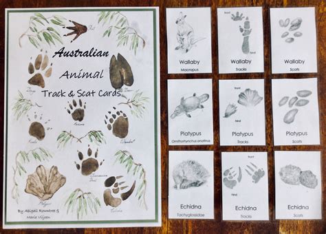 We did not find results for: Identification Cards | Australian Animal Track & Scat Cards