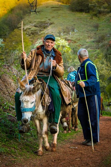 Old Man Riding A Donkey Editorial Stock Image Image Of Heritage