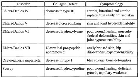 What Do The Different Types Of Collagen Do