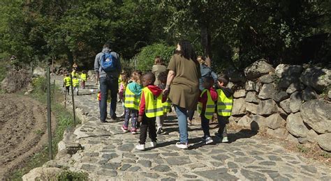 Andorra Se Suma Al Cleanup Day Una Campanya Per Conscienciar La