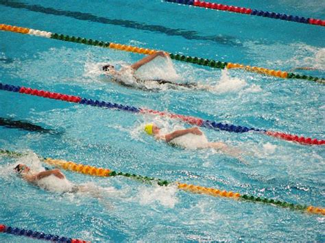 Identifying The Different Types Of Officials In Competitive Swimming