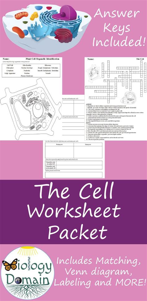 These three ideas form the cell theory. The Cell Worksheets (With images) | Cells worksheet, The ...