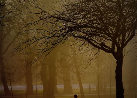 Sharing the Journey: Coping with Grief - Kaufman | September 19 to