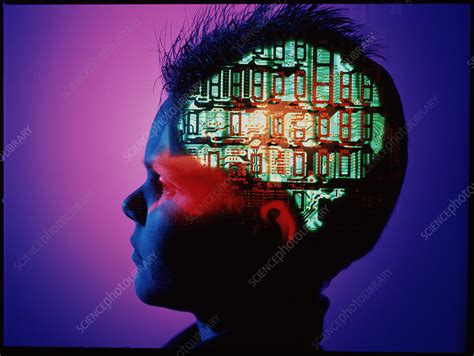 Nine emergency department (ed) attending physicians participated in the study. Human computer - Stock Image - P890/0269 - Science Photo ...