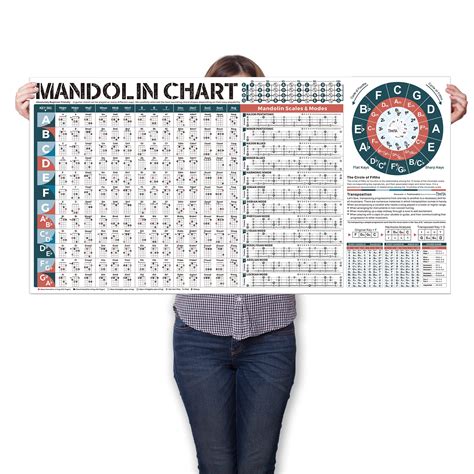 Buy Mandolin Chord Scales Chart Master Popular Mandolin Chords Mandolin Scales Mandolin