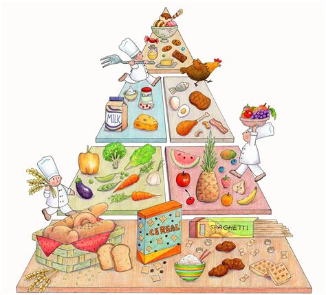 Pirâmide Alimentar Conceito E O Que é