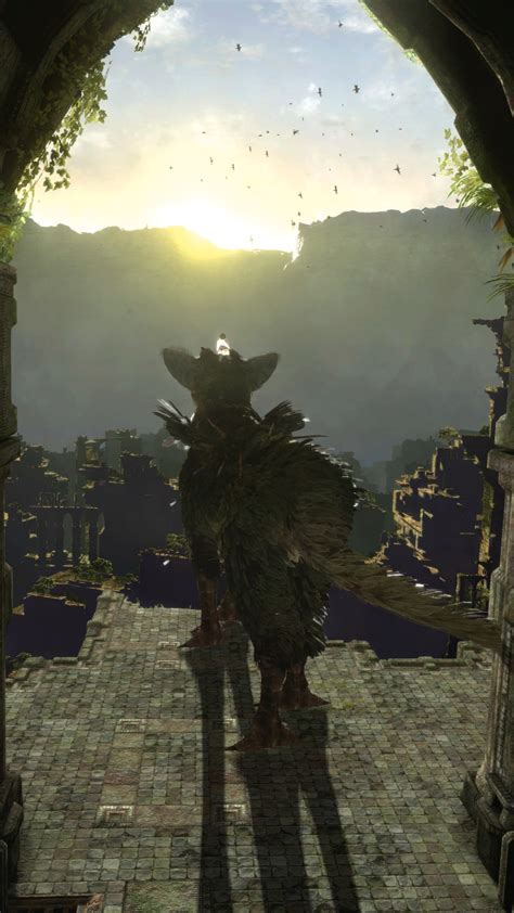 Explore the guardian archive, both historical and recent editions. The Last Guardian Wiki