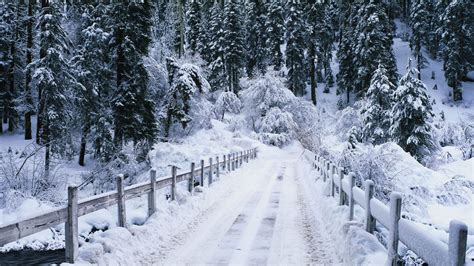 Nature Landscape Winter Snow Bridge Wallpapers Hd Desktop And