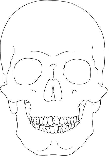 Skull Outline Casehooli