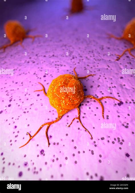 Cancer Cell Electron Microscope High Resolution Stock Photography And