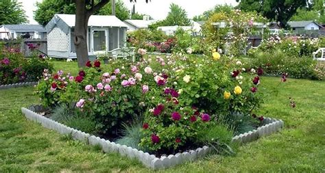 Small Garden Design With Roses Wilson Rose Garden