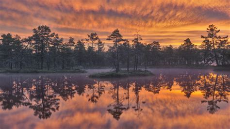 Sweden Lake Around Trees During Sunset Hd Nature Wallpapers Hd