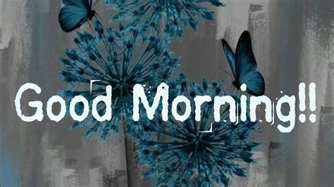 Every day starts with a good morning message to greet our family, friends and loved one happy good morning but we are. #Goodmorning Good Morning message l WhatsApp status video ...