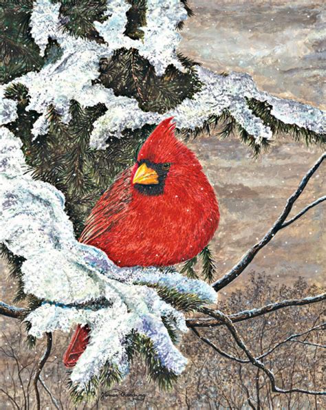 Cardinal In Winter James Redding Studio