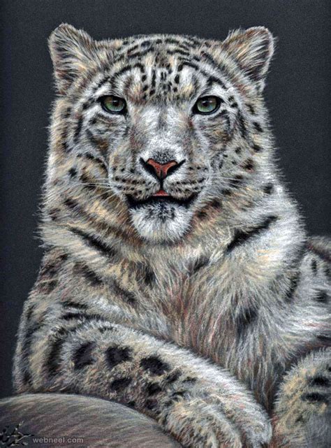 An artist that knows how to use his pencils, to give us these wonderful animal drawing. 25 Beautiful and Realistic Animal Drawings around the world