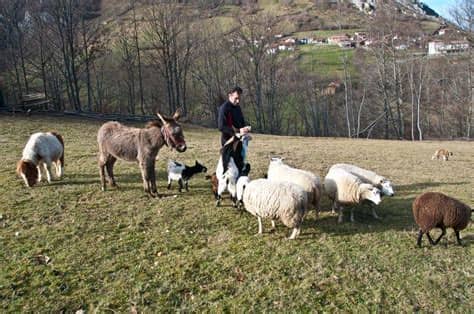 Selecciona la comarca que te interese para iniciar la búsqueda. Casas rurales con granja de animales en Asturias