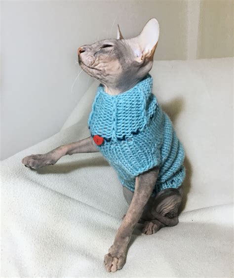 Kitten Clothes Sphynx Sweater Sphynx Cat Clothes Etsy In 2021