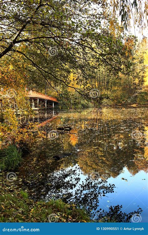 Colorful Autumn Landscape Stock Image Image Of Landscape 130990551