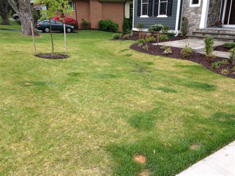 Help Lawn Is Dying Lawnsite Is The Largest And Most Active Online