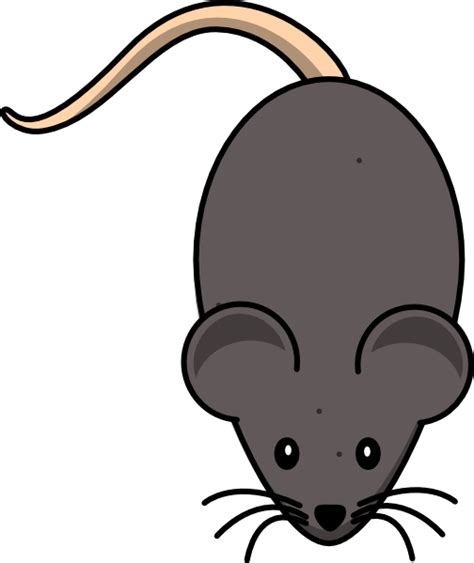 Mouse Clip Art At Vector Clip Art Online Royalty Free