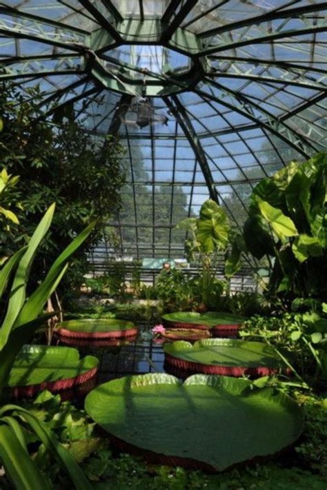 Für die öffentlichkeit sind zwei selbsterklärende lehrpfade eingerichtet worden: BOTANISCHER GARTEN DER UNIVERSITÄT BASEL | Botanischer ...