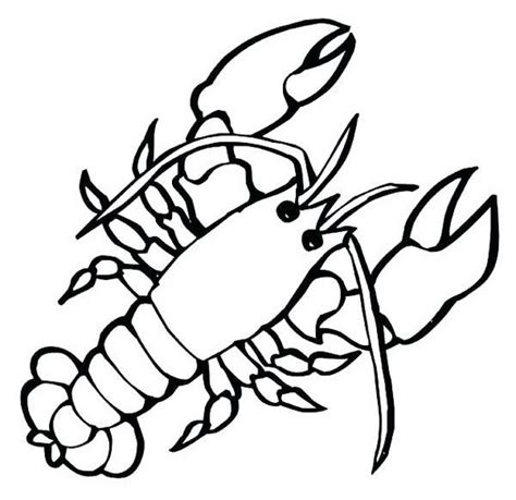large marine crustaceans lobster coloring pages for small children