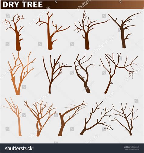 Naked Trees Silhouettes Set Dry Trees Royalty Free Stock Vector