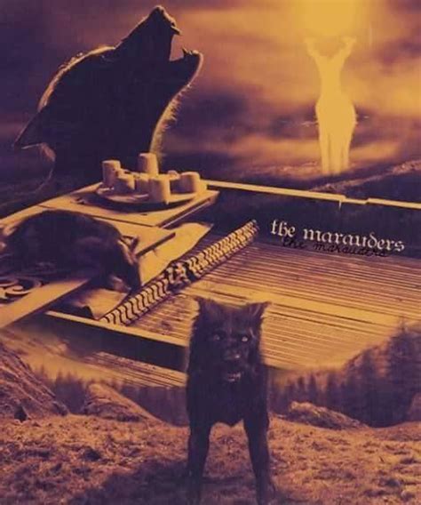 The Marauders In Animagus Form Harry Potter Animals The Marauders