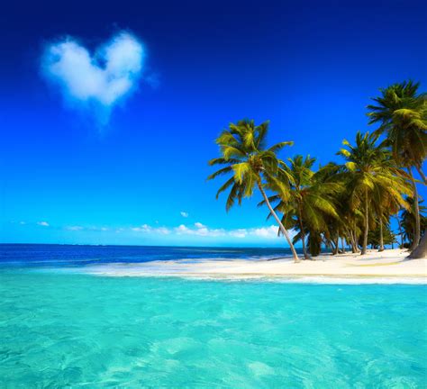 Tropical Paradise Beach Coast Sea Blue Emerald Ocean Palm Summer Sand