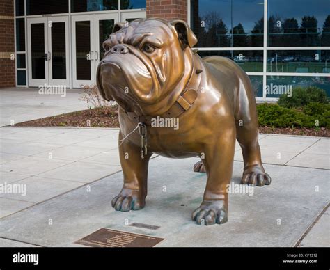 Gonzaga Basketball Mascot The Zag Bulldog Stock Photo Alamy