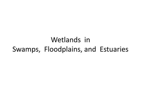 Ppt Wetlands In Swamps Floodplains And Estuaries Powerpoint