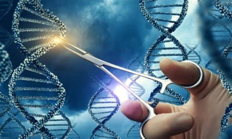 Crispr Based Treatment Destroys Cancer Cells Healthcare