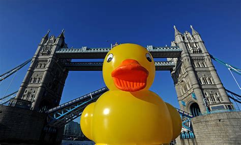 giant rubber duck thrills london in pictures